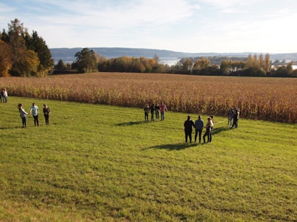 Temtraining outdoor Bodensee